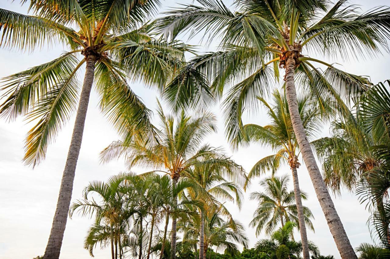 Bush Village Holiday Cabins Airlie Beach Buitenkant foto